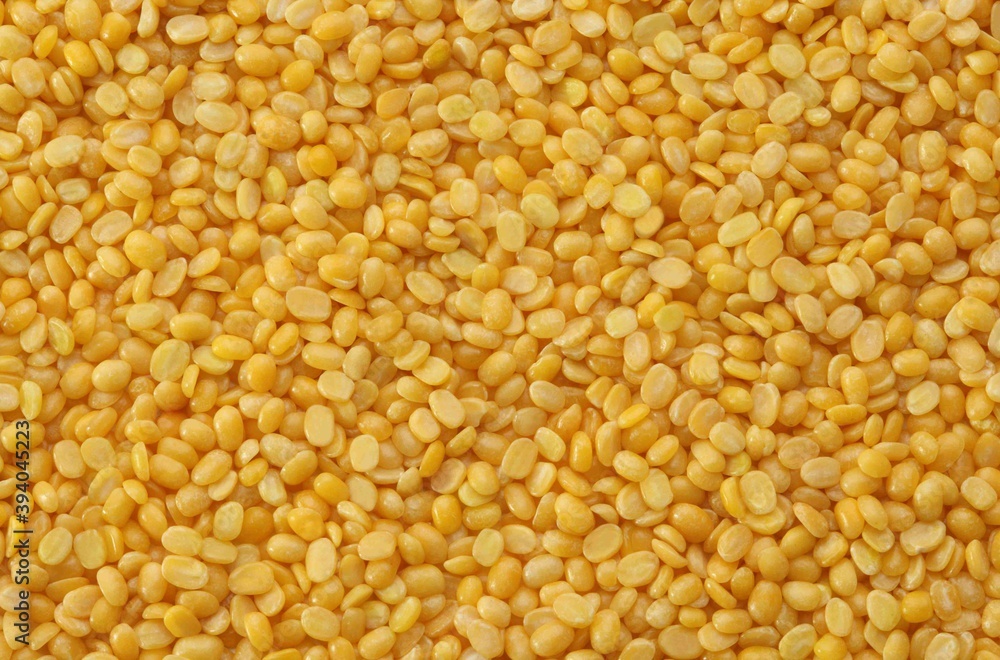 yellow bean pattern as background yellow bean pattern as background