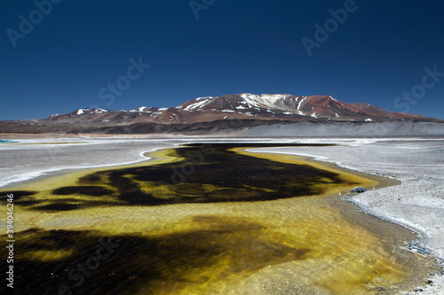 Volcanic landscape high in the cordillera. View of the yellow and black water lake due to the sulfur in water, the natural salt flat and Andes mountains in the background, under a deep blue sky.