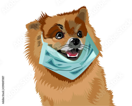 
a dog who always wears a mask