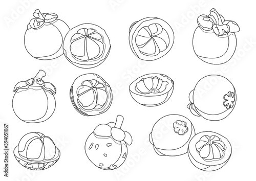 Line mangosteen fruit pattern on white background illustration vector