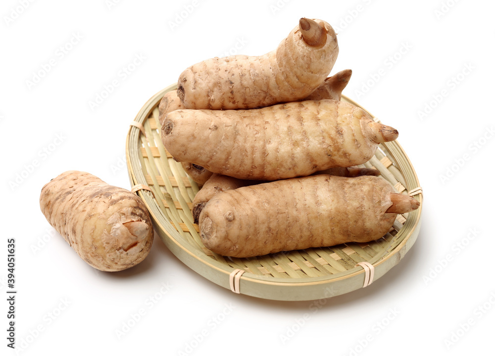 Fototapeta premium Fresh Gastrodia elata blume on white background