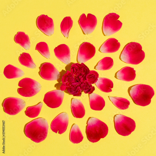 Rose petals with a creative concept on a yellow background