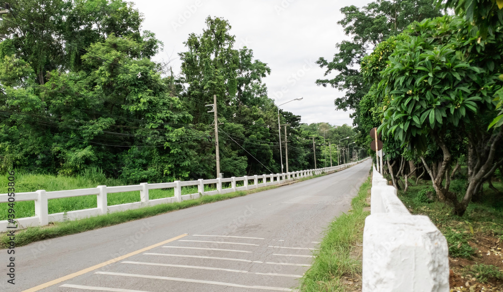Concrete bridge among green trees, Landscape nature road bridge Concrete bridge among green trees, Landscape nature road bridge