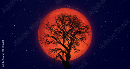 Lone tree with Lunar eclipse and blood moon "Elements of this image furnished by NASA"