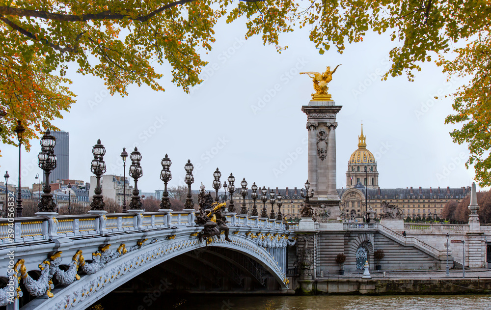 Alexandre III Bridge, Paris France