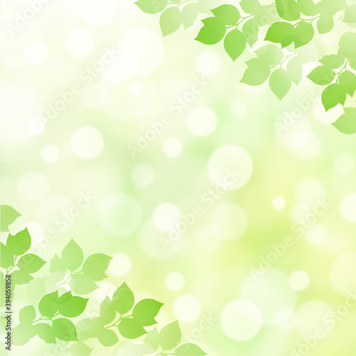【キラキラ背景画像素材】新緑と木漏れ日の背景 正方形 はすむかい