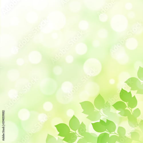 【キラキラ背景画像素材】新緑と木漏れ日の背景 正方形 右下