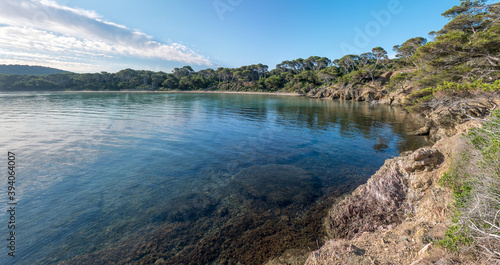 Discovery of the island of Porquerolles in summer. Deserted beaches and pine trees in this landscape of the French Riviera