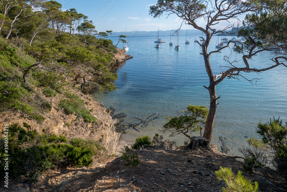 Discovery of the island of Porquerolles in summer. Deserted beaches and pine trees in this landscape of the French Riviera