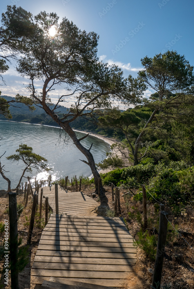 Discovery of the island of Porquerolles in summer. Deserted beaches and pine trees in this landscape of the French Riviera