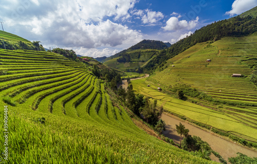 Terraced rice fields, Mu Cang Chai, Yen Bai, Vietnam