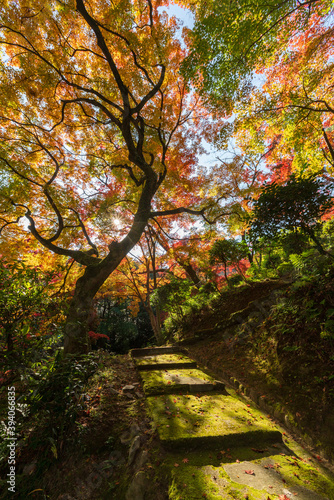 Beautiful autumn landscape in Japan