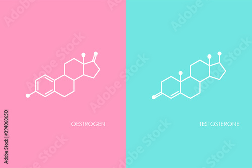 Testosterone and Oestrogen molecula structure. Blue and pink line icon isolated on white background.