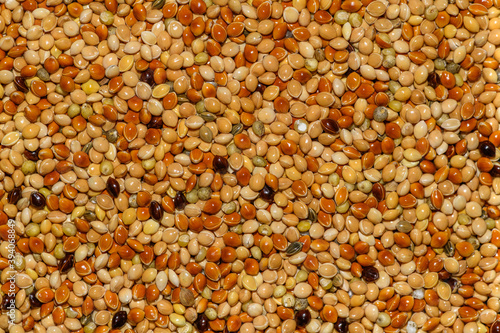 mix of multicolored millet seeds in detail