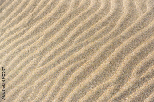 砂浜 © キャプテンフック