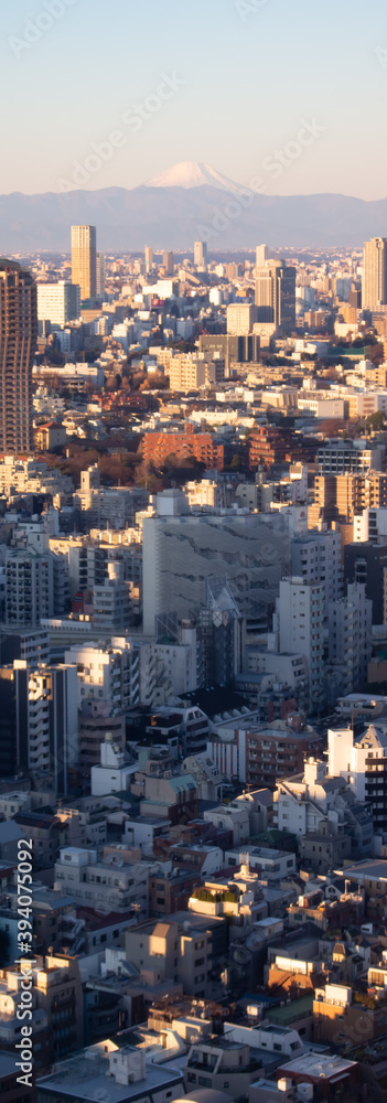 Obraz premium 東京のビル群の向こうの富士山