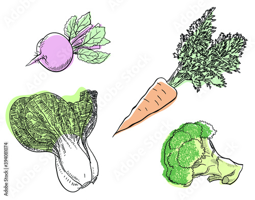 Simple black four kinds of vegetable line art painting.