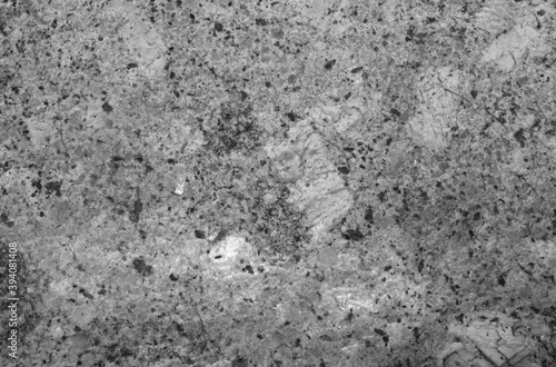 Porphyritic granite surface. Intrusive igneous rock.