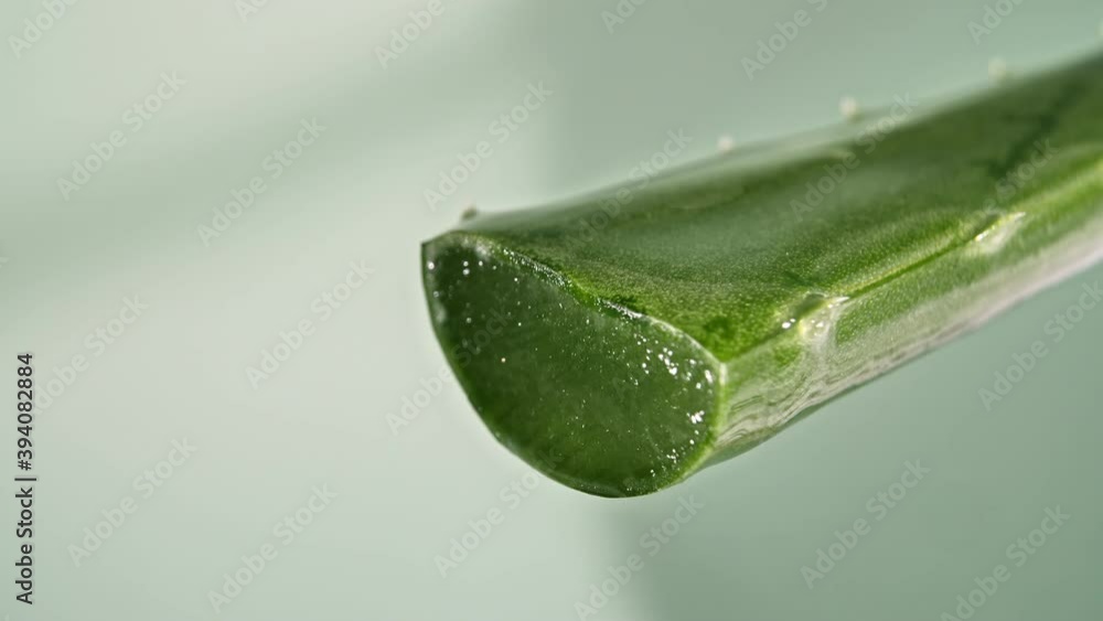 Motion of dropping a drop aloe vera liquid from leaf on green blurred background. Herbal medicine for skin care and hair care. High quality 4k footage Motion of dropping a drop aloe vera liquid from leaf on green blurred background. Herbal medicine for skin care and hair care. High quality 4k footage