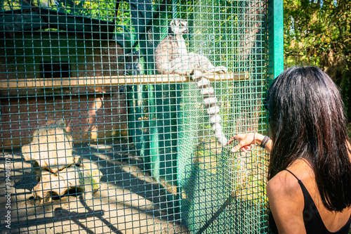 Female woman toucing cute lemur inside the cage. Dendrological park. Georgia.2020