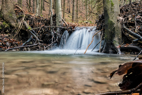 Water stream in forest, Little Fatra, Slovakia, hiking theme