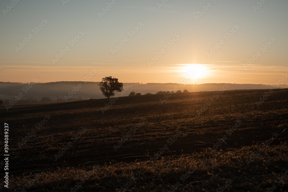 Fototapeta premium land