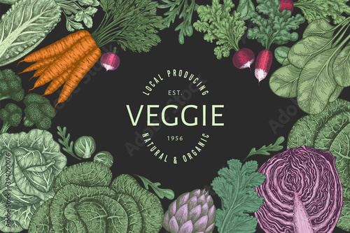 Hand drawn vintage color vegetables design. Organic fresh food vector banner template. Retro vegetable background. Traditional botanical illustrations.