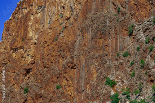 Steep cliff of high mountain, close-up. Texture of brown-orange rock with sparse green plants on it