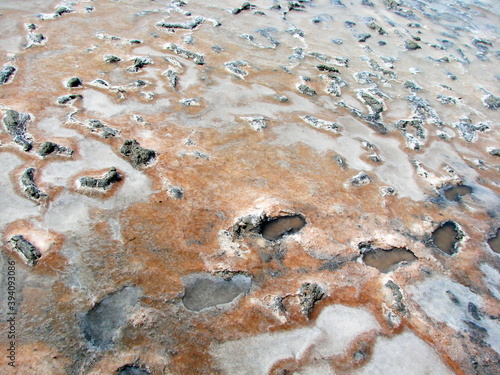 Landscape of the surface of a semi-dried lake covered with mud and salt, and decorated with pink areas of flowering plankton.