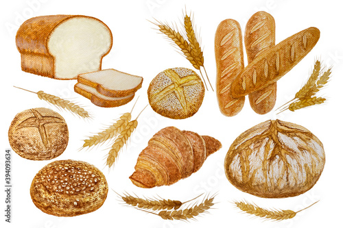Bread and toast bakery baking illustration, watercolor hand painting isolated