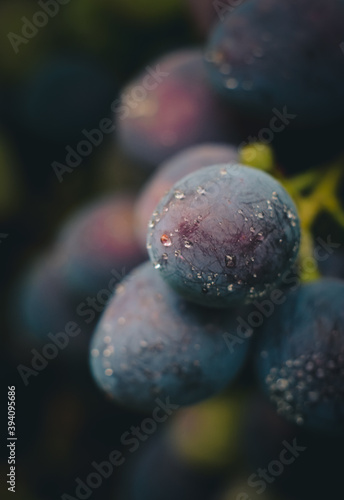 grapes with drops of water 