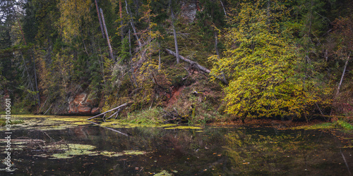 Autumn forest lake water reflection. Forest lake in autumn. Cirulisi Nature Trails. Panorama. Latvia.