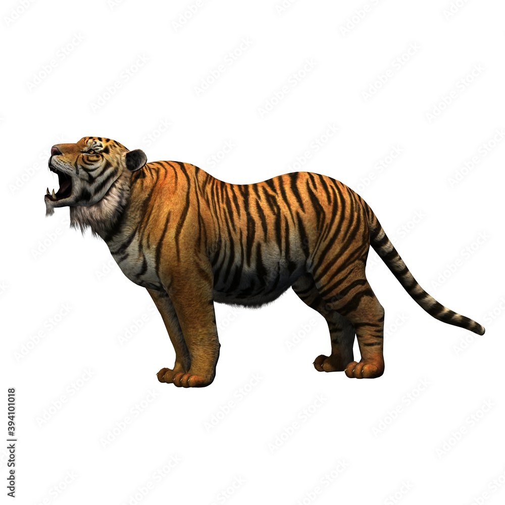 Obraz premium Wild animals - tiger - isolated on white background - 3D illustration