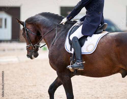 A brown sports horse with a bridle and a rider riding with his foot in a boot with a spur in a stirrup.