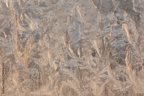 Beautiful Closeup Winter Window Pane Coated Shiny Icy Frost Patterns © Oleh