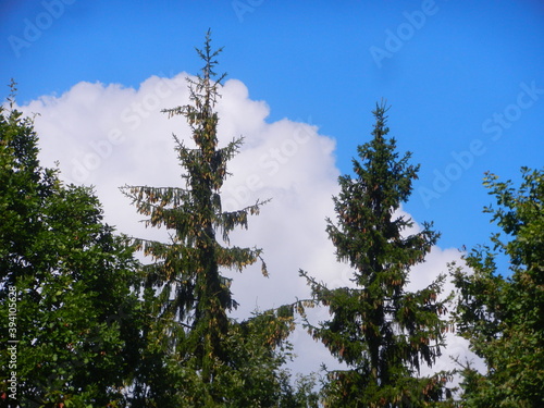 Moscow Region