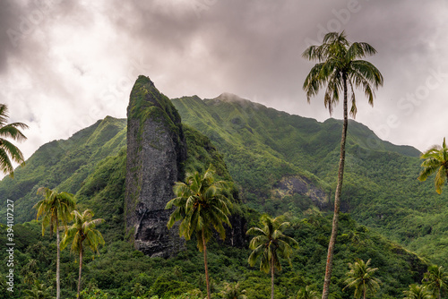 Canvas Print tropical volano island in raiatea french polynesia moorea, bora bora, tahiti