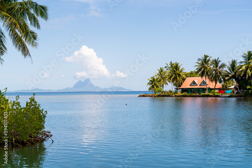 beach house in tropical island in tahaa bora bora french polynesia  photo
