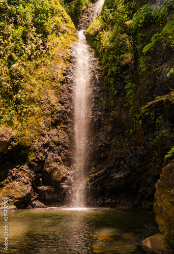 waterfall in the tropical forest in french polynesian island raiatea bora bora moorea