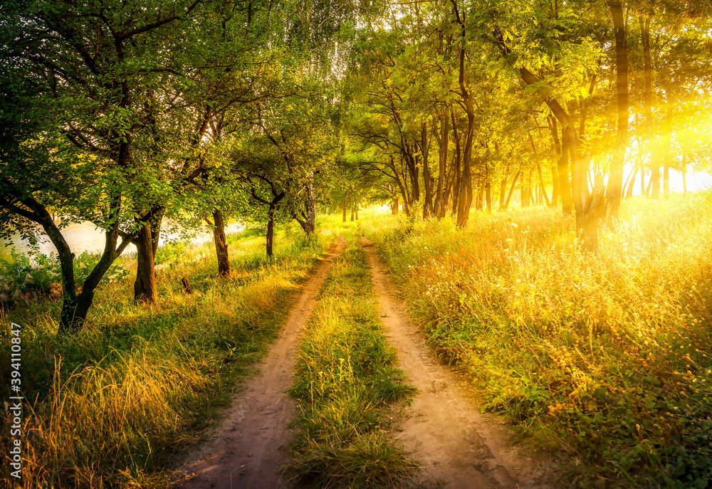 Obraz premium Dawn on the road