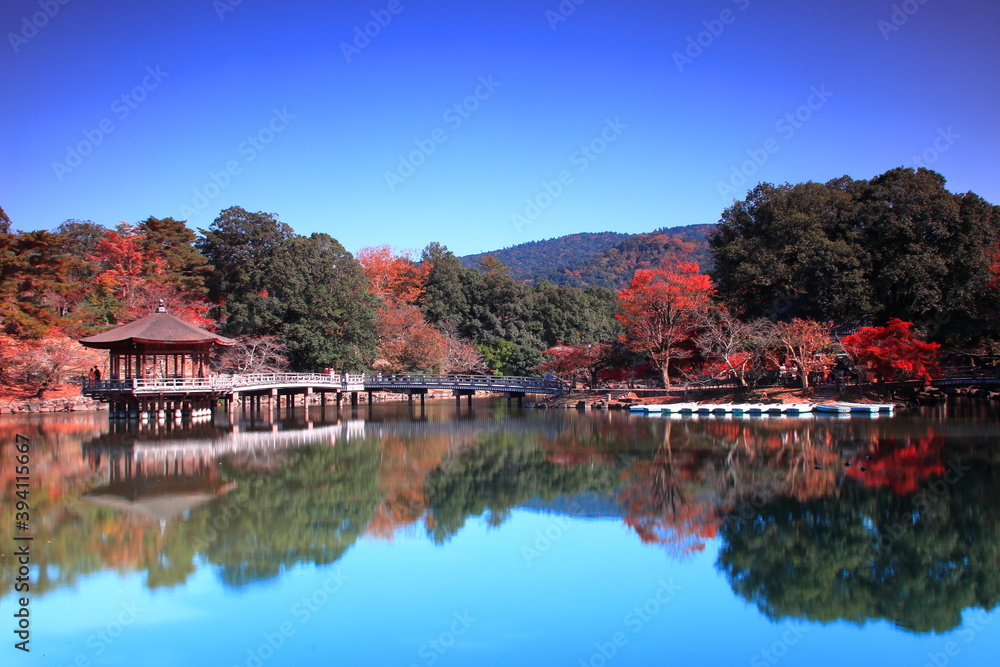 世界文化遺産　奈良浮見堂の紅葉