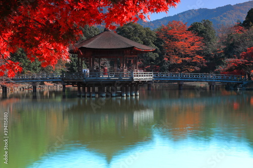 奈良の紅葉 浮見堂