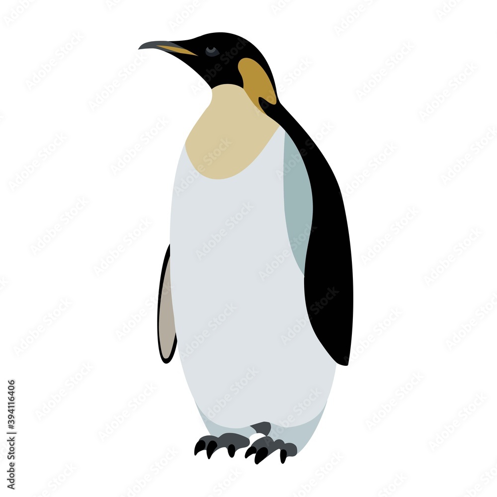 Fototapeta premium Emperor penguin standing