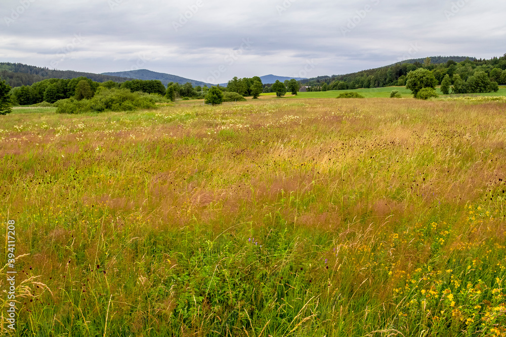 Bavarian Forest scenery Bavarian Forest scenery