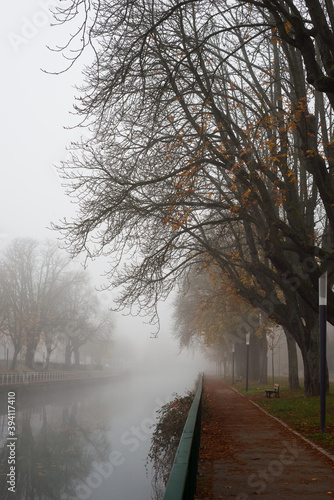 View of autumnal trees in border the river by foggy day  in Mulhouse - France