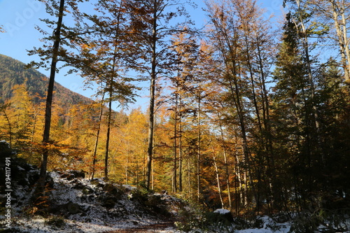 Autumn in the Fusine lakes Natural Park, Italy
