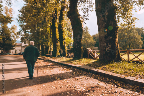 Nonno passeggia lungo un viale alberato. la solitudine degli anziani.
