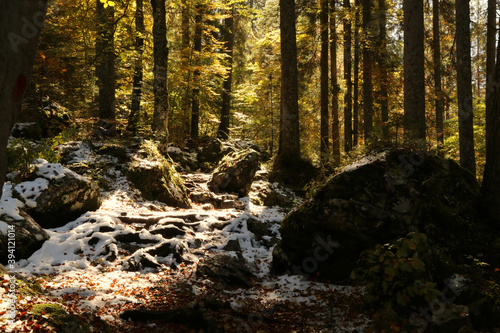 Autumn in the Fusine lakes Natural Park, Italy