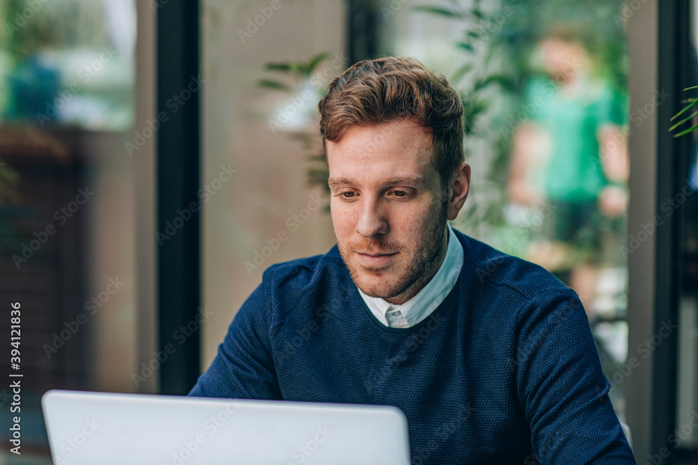 Handsome Businessman Working on his Laptop Handsome Businessman Working on his Laptop
