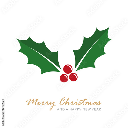 christmas holly berry isoladet on white vector illustration EPS10